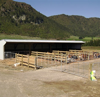 Dairy Sheds