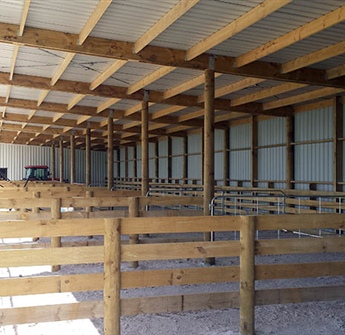 Calf Shed Interior