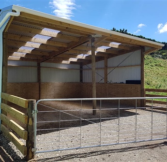 Calf / Feed Shed