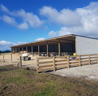 10-Bay Calf / Feed Shed