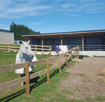 Covered Yards and Fencing