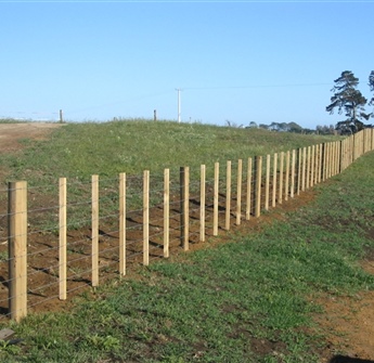 Paddock Fencing