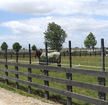 Horse Paddock Fencing