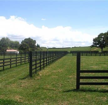 Paddock Fencing