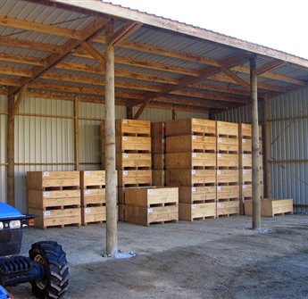 Kiwifruit Bin Storage