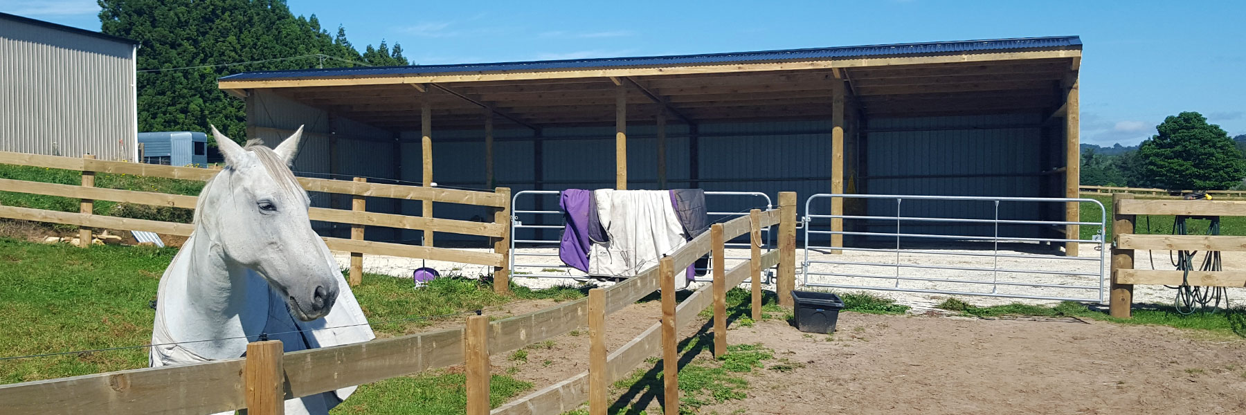 Horse Shelters, Stables & Tack Rooms